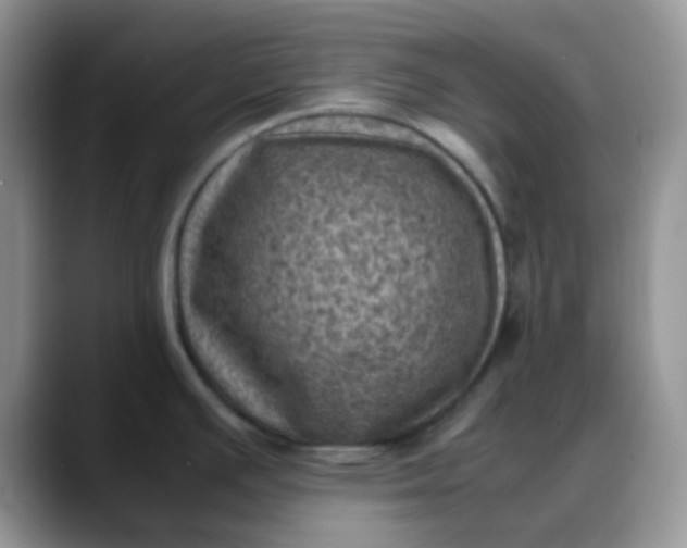X0000088191391200705292003