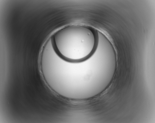 X0000088191392200705292003