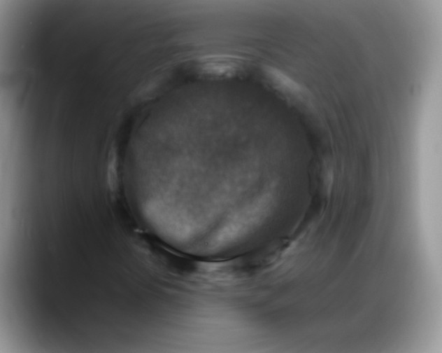 X0000088191394200705292003