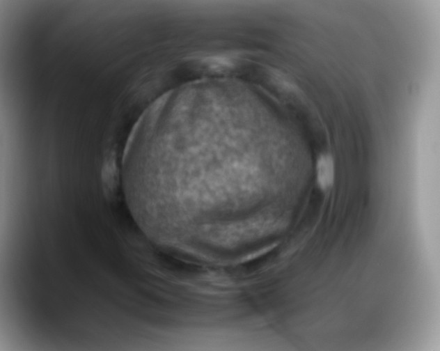 X0000088191395200705292003