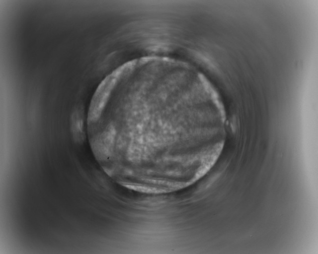 X0000088191396200705292003