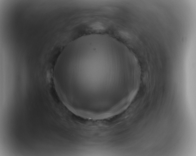 X0000088191397200705292003