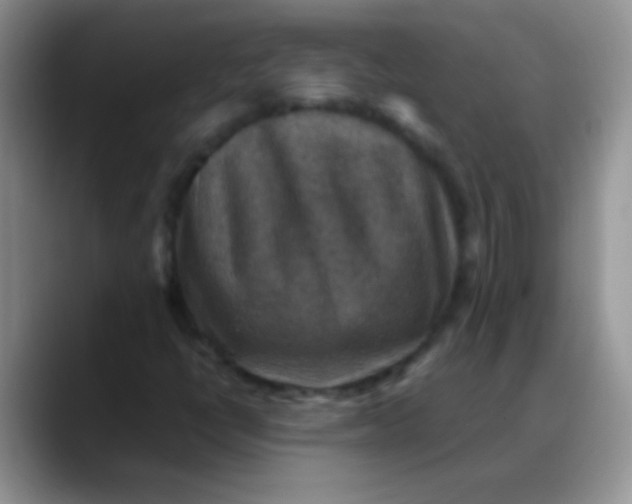X0000088191398200705292003