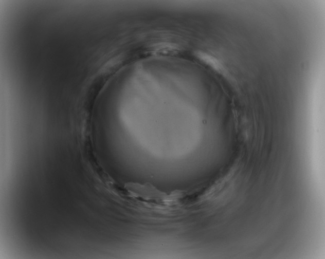 X0000088191399200705292003