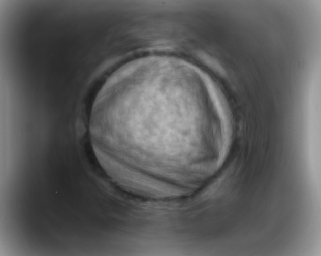 X0000088191400200705292003