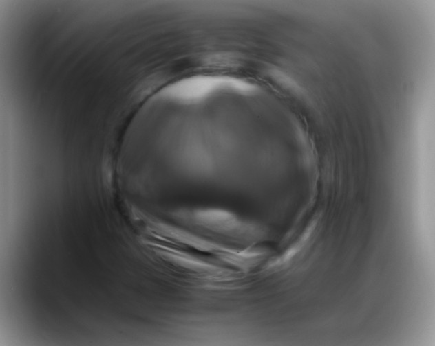 X0000088191401200705292003