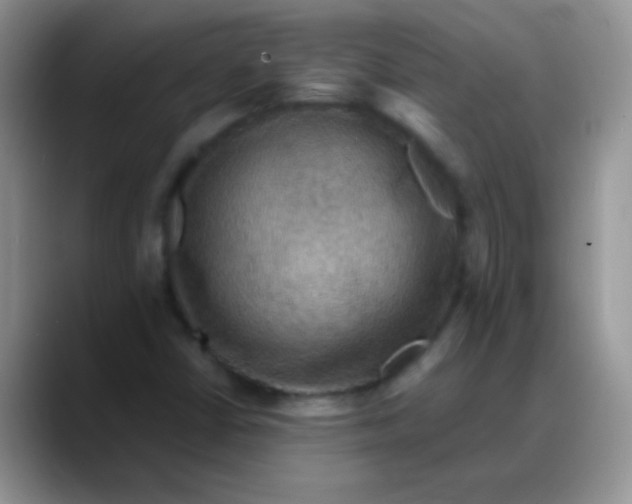 X0000088191402200705292003