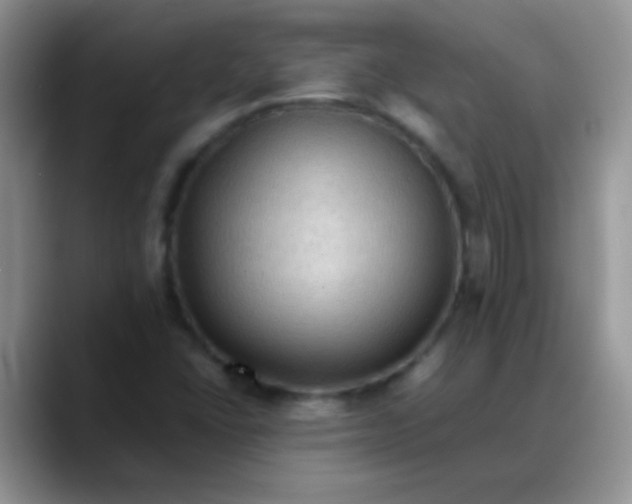 X0000088191406200705292003