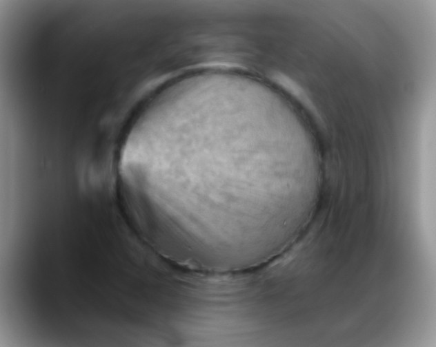 X0000088191408200705292003