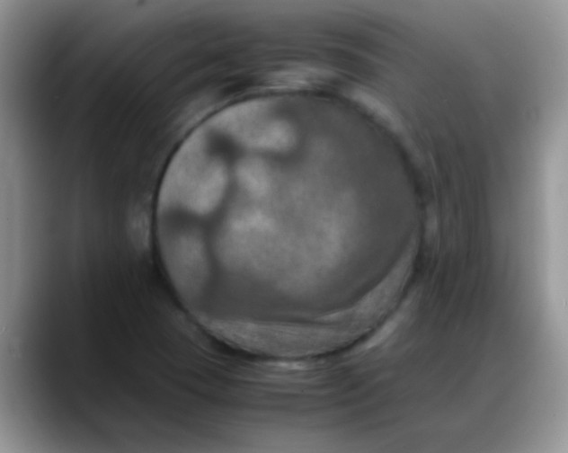 X0000088191409200705292003
