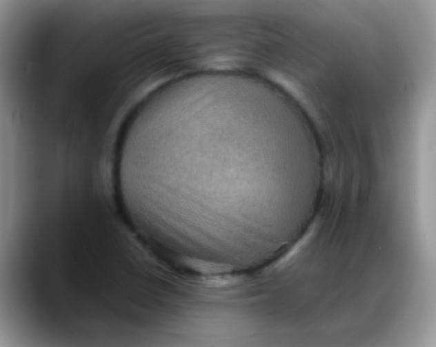 X0000088191410200705292003