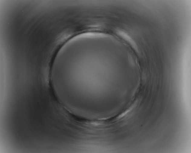 X0000088191411200705292003