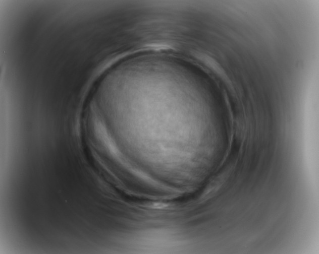 X0000088191412200705292003