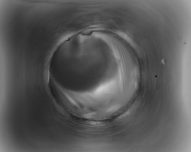 X0000088191413200705292003