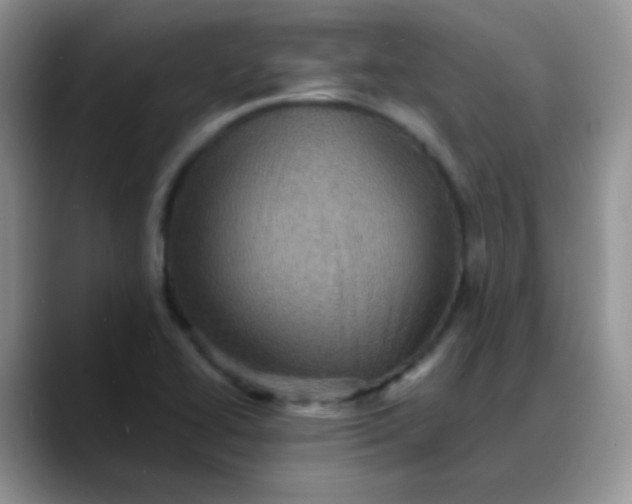 X0000088191414200705292003