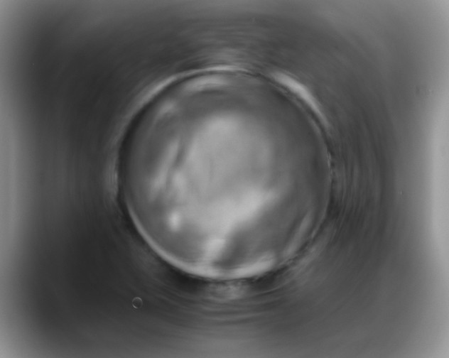 X0000088191415200705292003