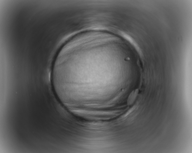 X0000088191416200705292003