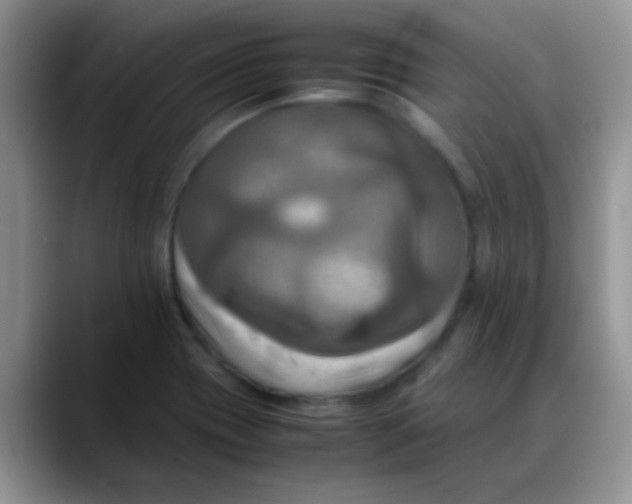 X0000088191417200705292003