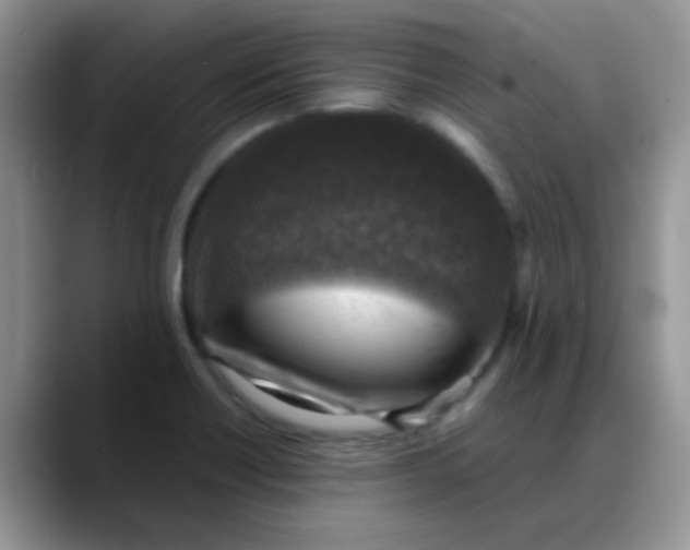 X0000088191418200705292003