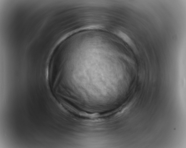 X0000088191420200705292003