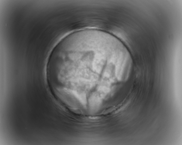X0000088191423200705292003
