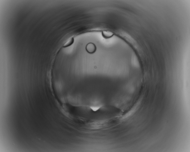 X0000088191425200705292003