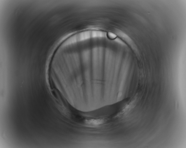 X0000088191427200705292003