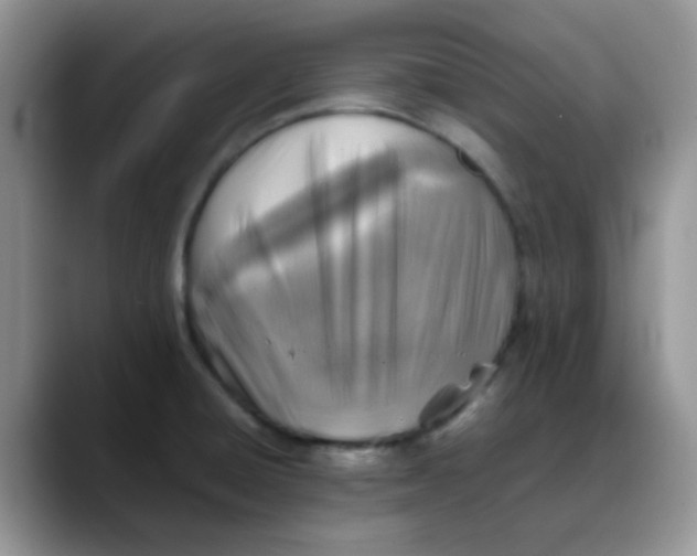 X0000088191428200705292003