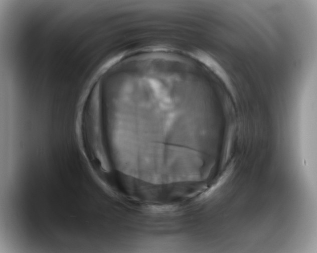 X0000088191429200705292003