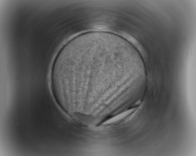 X0000088191432200705292003