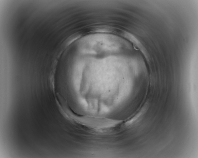 X0000088191433200705292003