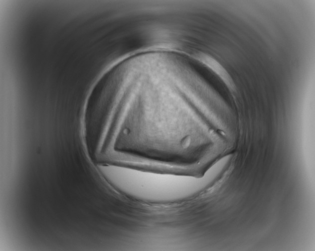 X0000088191436200705292003