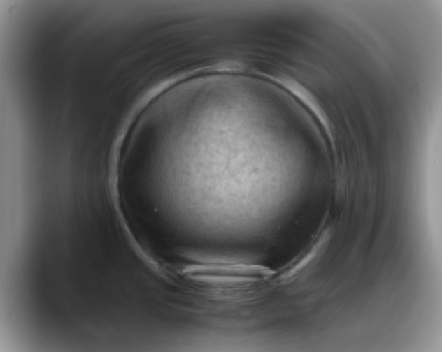 X0000088191437200705292003