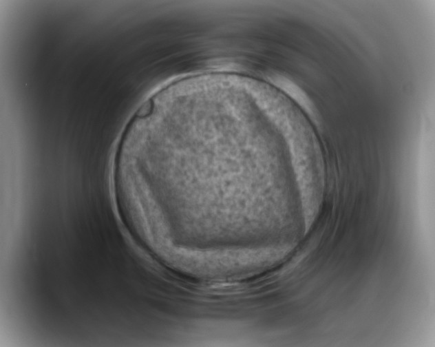 X0000088191439200705292003