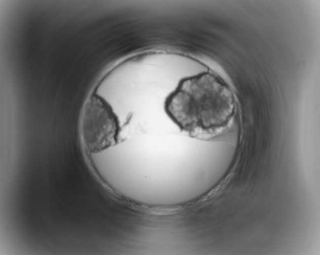 X0000088191440200705292003