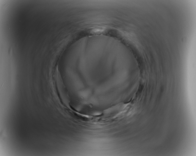X0000088191441200705292002