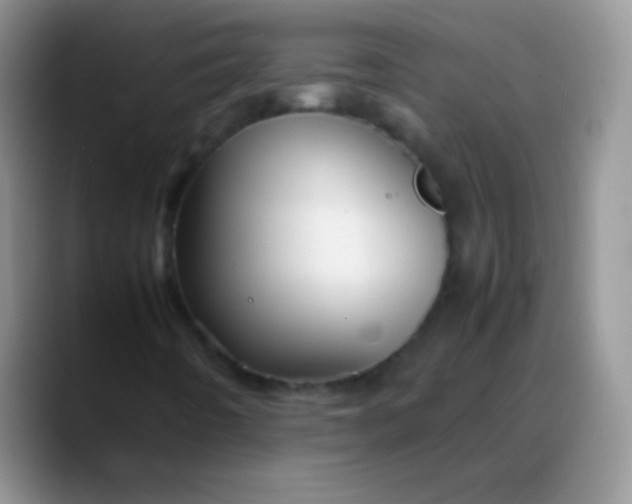 X0000088191442200705292002