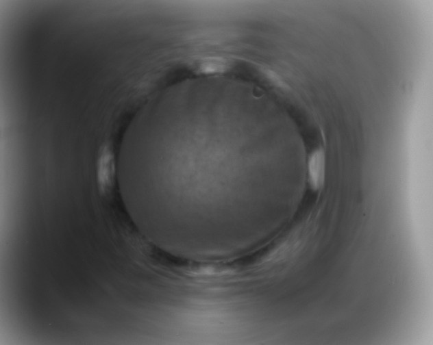 X0000088191443200705292002