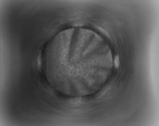 X0000088191444200705292002