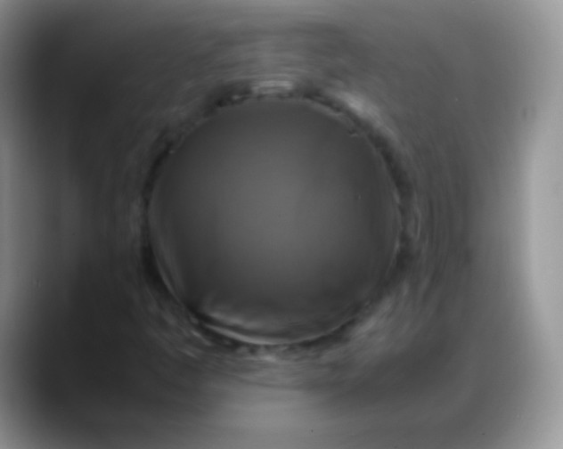 X0000088191445200705292002