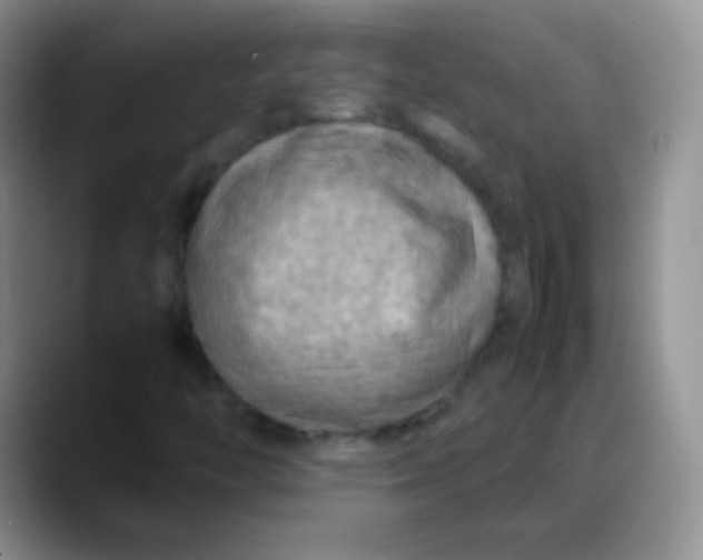 X0000088191446200705292002