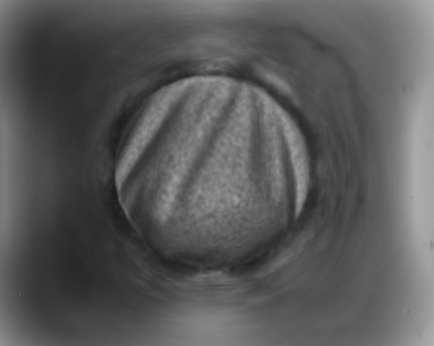 X0000088191447200705292002