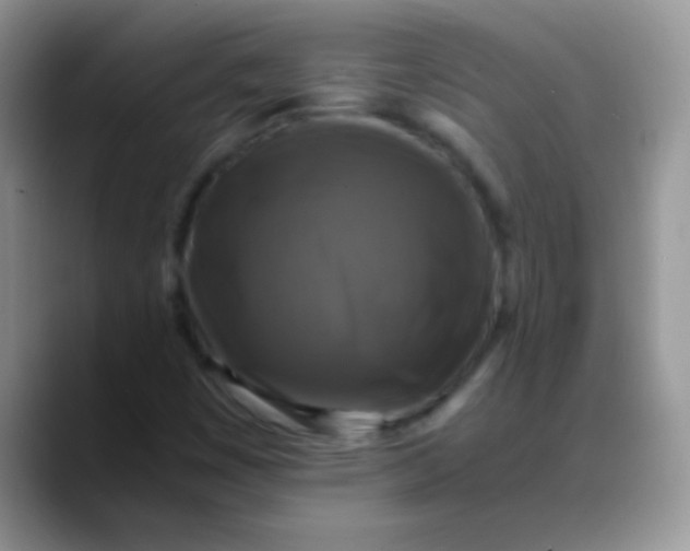 X0000088191449200705292002