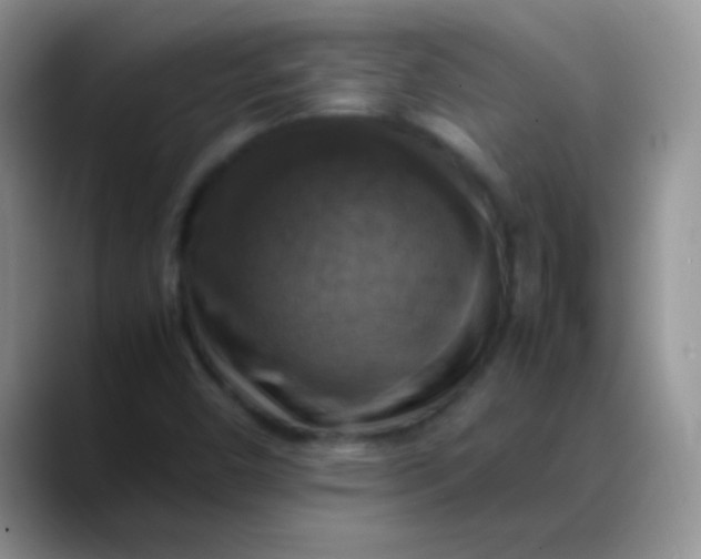 X0000088191450200705292002