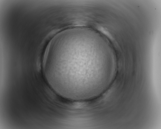 X0000088191451200705292002