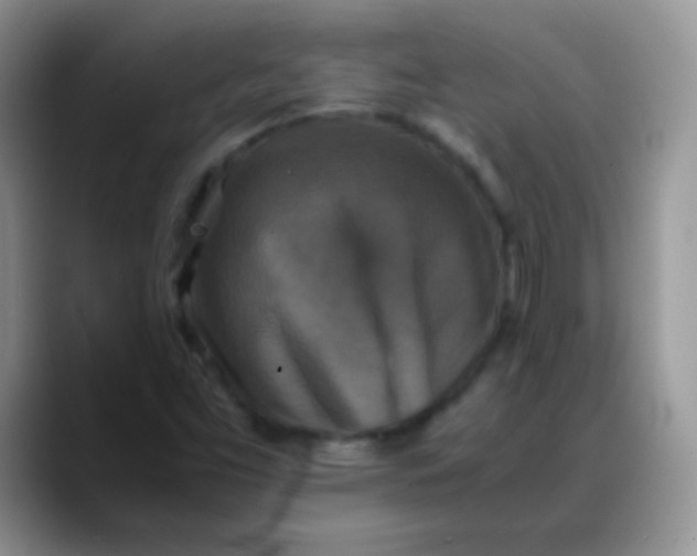 X0000088191453200705292002