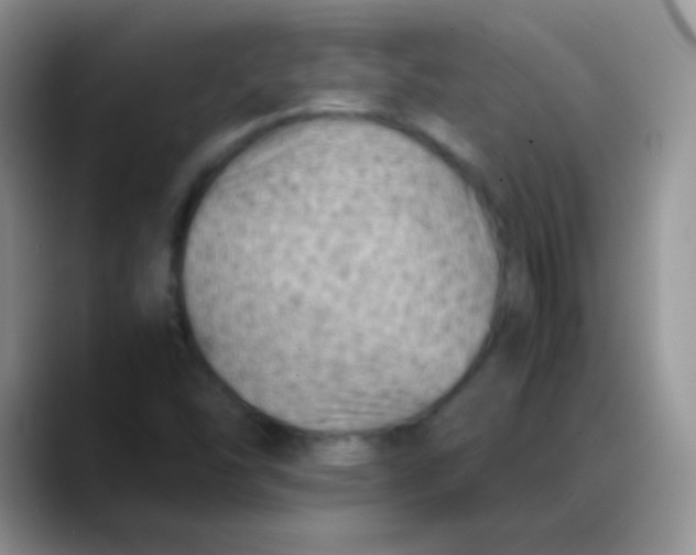 X0000088191454200705292002