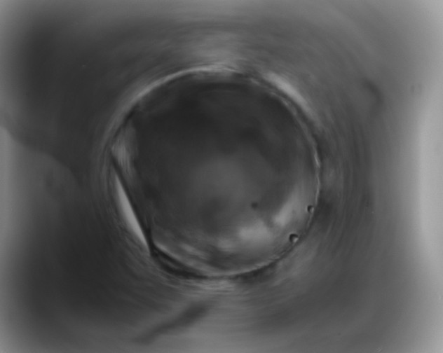 X0000088191455200705292002