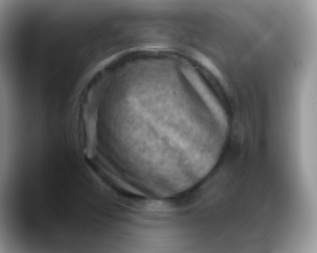 X0000088191456200705292002