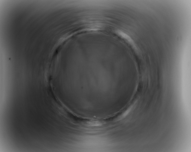 X0000088191457200705292002